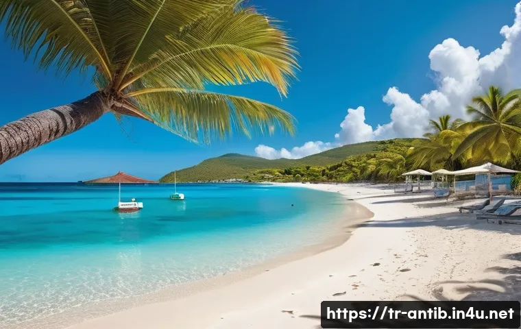 1 Kasım'ın Ardındaki Sır Perdesi Antigua ve Barbuda Bağımsızlık Günü'nü Daha Önce Hiç Böyle Görmediniz 4 앤티가 바부다 독립 기념일 관련 이미지 2